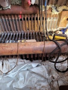 Zdj�cie WhatsApp 2025-03-17 o 08.57.56_d42561ea