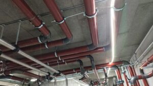 Zdj�cie WhatsApp 2025-03-17 o 12.32.42_eae13433